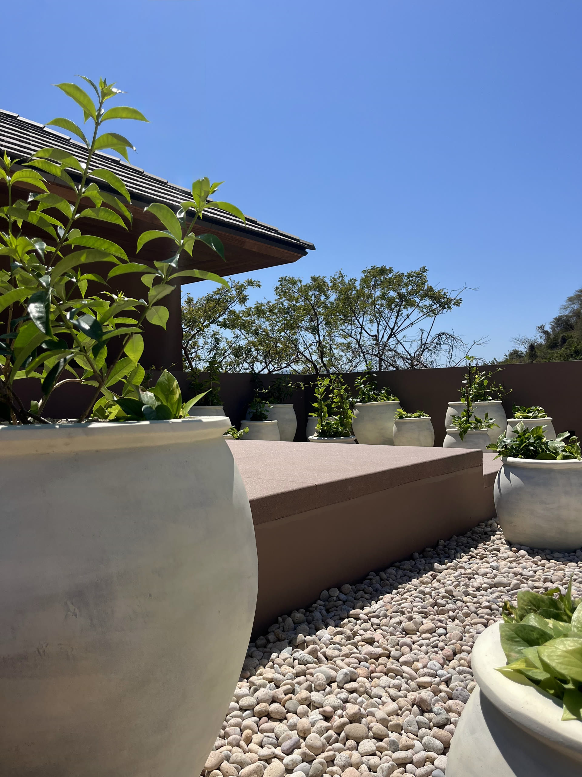 Terraza V8