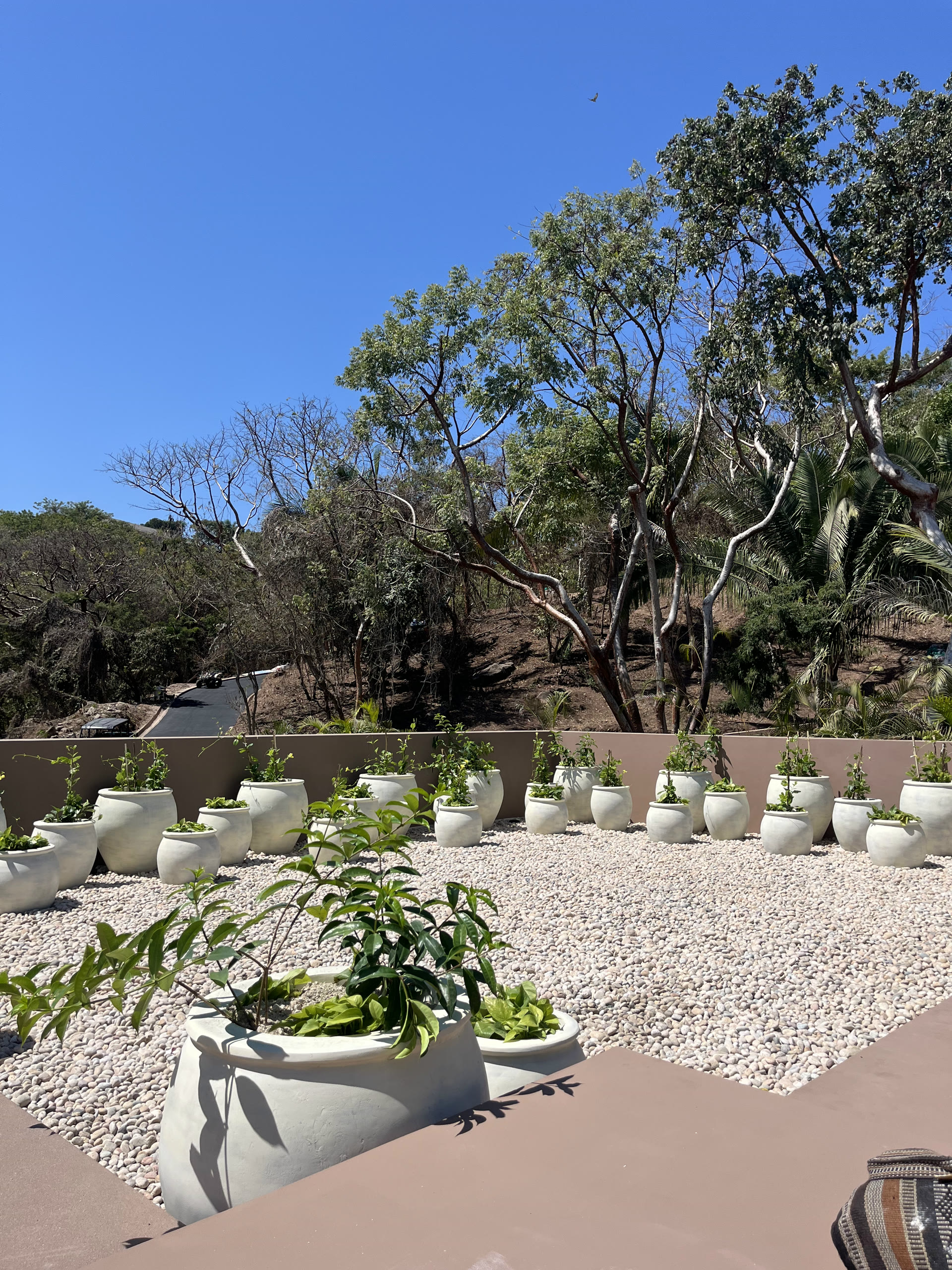 Terraza V8