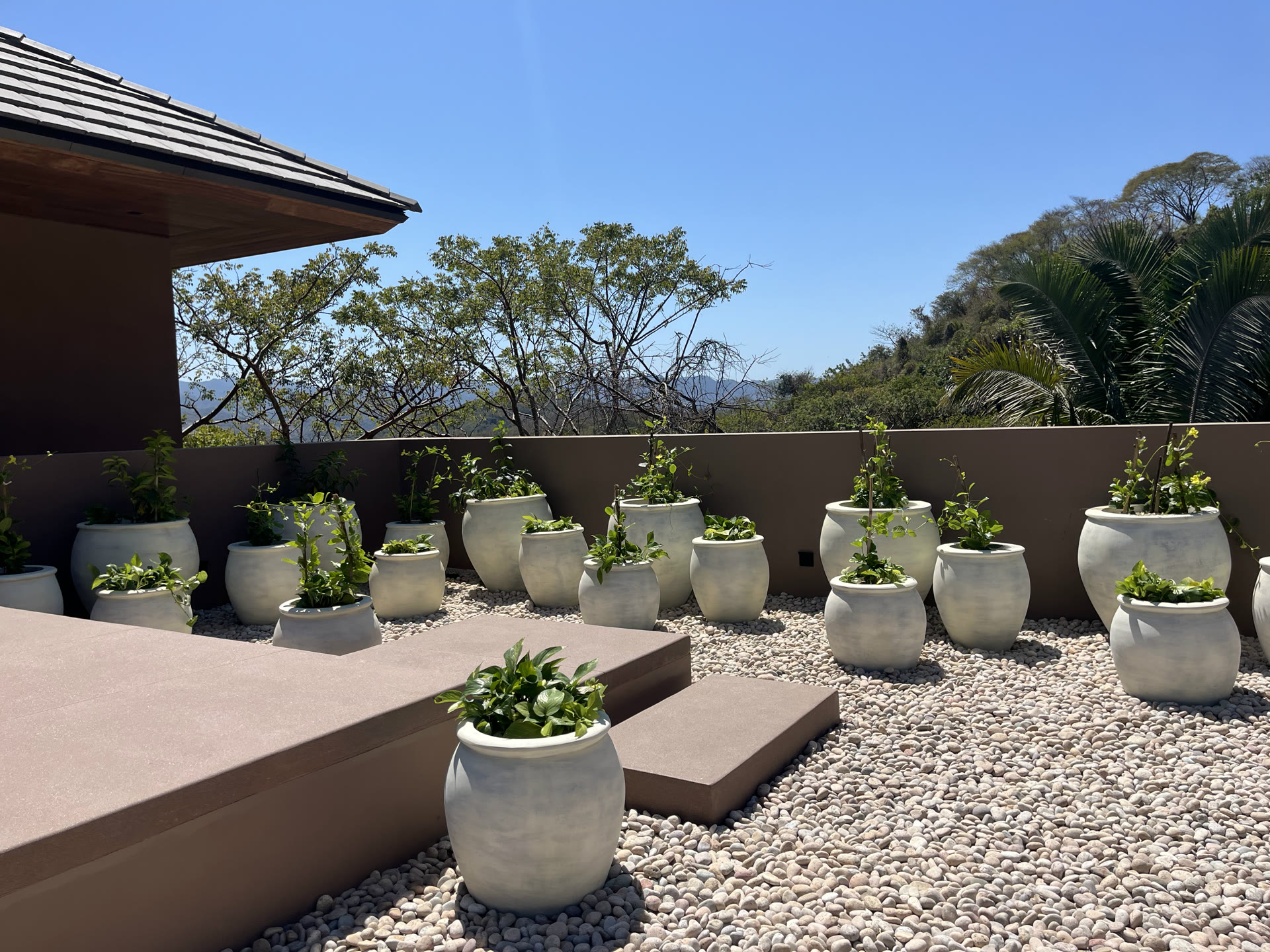 Terraza V8